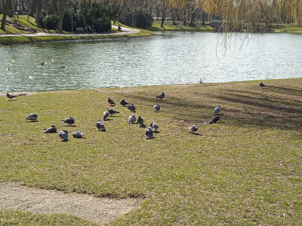 Wiosna w Kielcach. Coraz więcej zieleni i spacerowiczów w parku miejskim