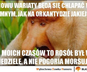 Morsowanie: MEMY 2021. Zobacz najlepsze obrazki i memy o morsowaniu! [ZDJĘCIA]