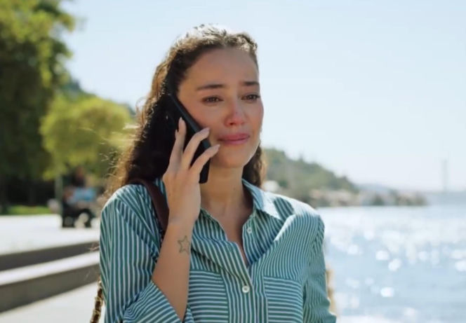 Złoty chłopak, odcinek 257