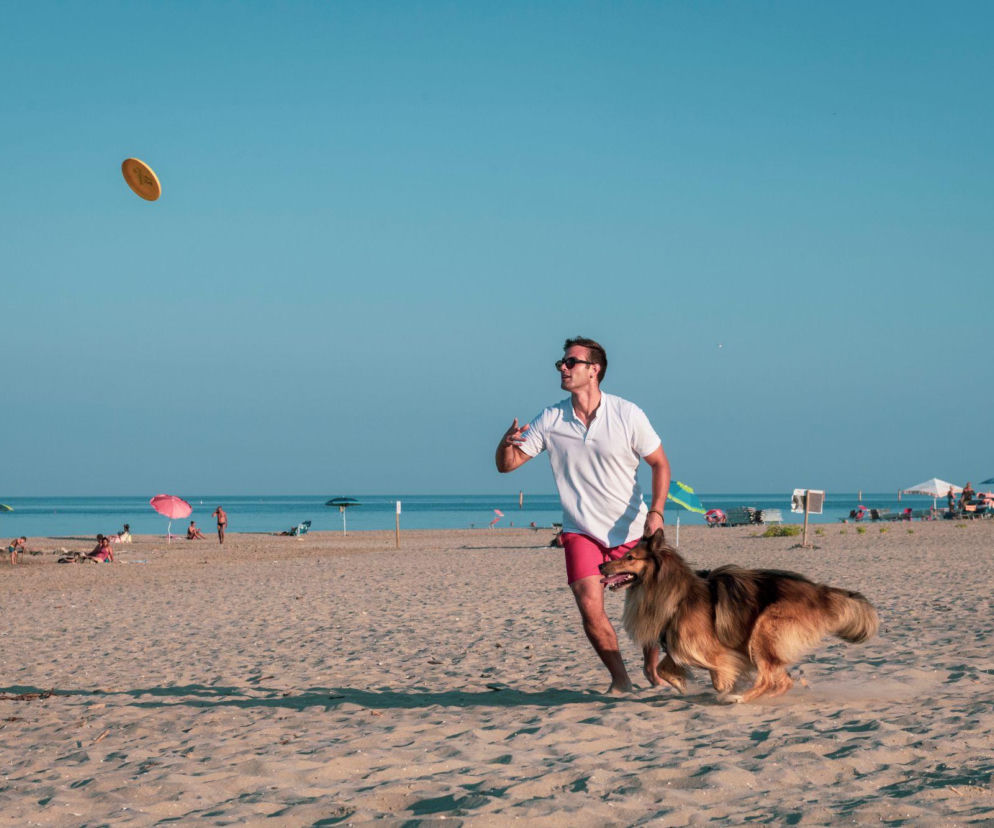 Mężczyzna biega po plaży z owczarkiem szkockim i rzuca frisbee. O atrakcjach Rawenny przeczytasz w serwisie Eska.