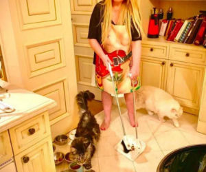 Maryla Rodowicz - koty nie przejedzą emerytury gwiazdy