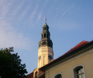 Nowy wiceprezydent Zielonej Góry