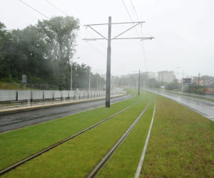 Kiedy Białołęka dostanie tramwaj? Inwestycja na Winnicy opóźniona