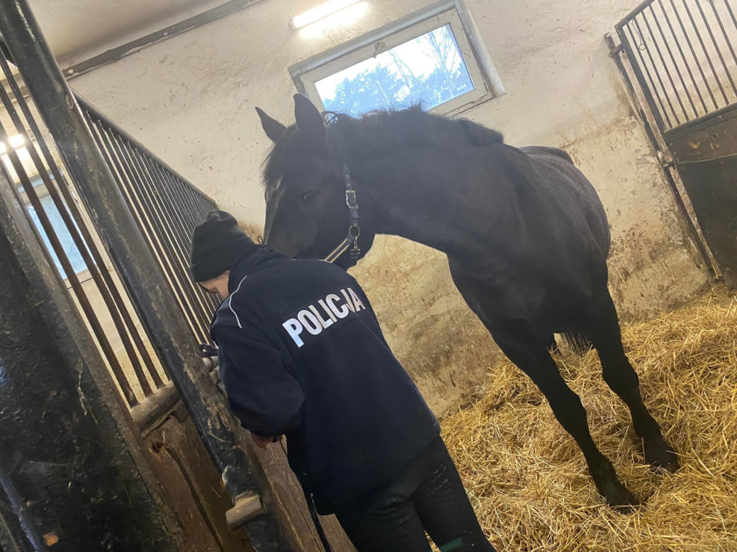 Klasa Policja Konna