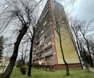 Wołanie do rodziców, aby rzucili przez okno picie! 