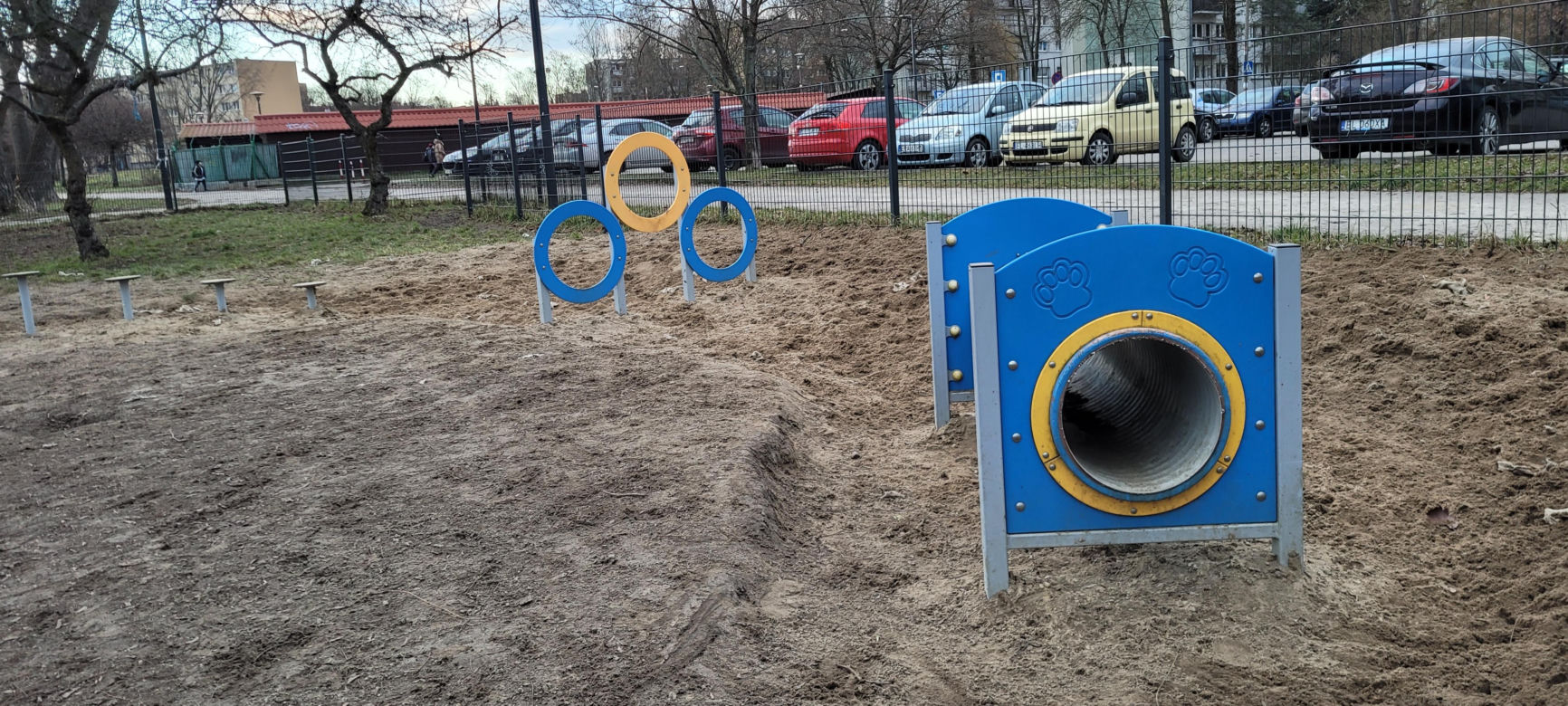 Psi park w Parku Podolskim w Łodzi