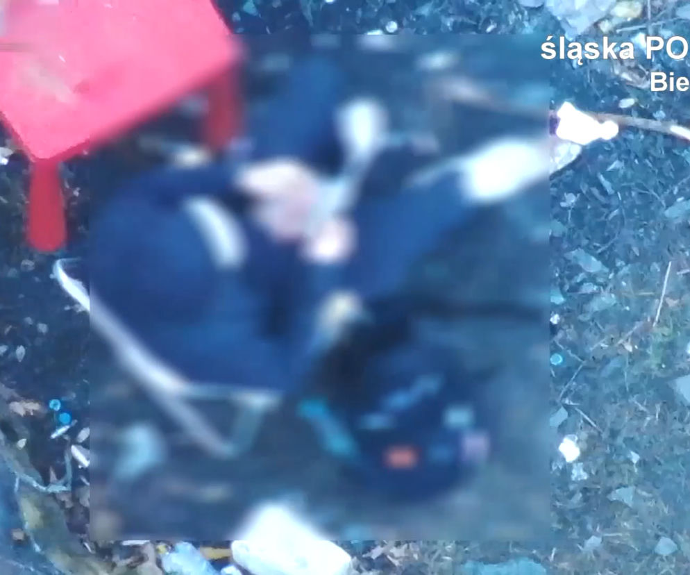 Bielsko-Biała: Policjanci złapali dwóch 17-latków z narkotykami