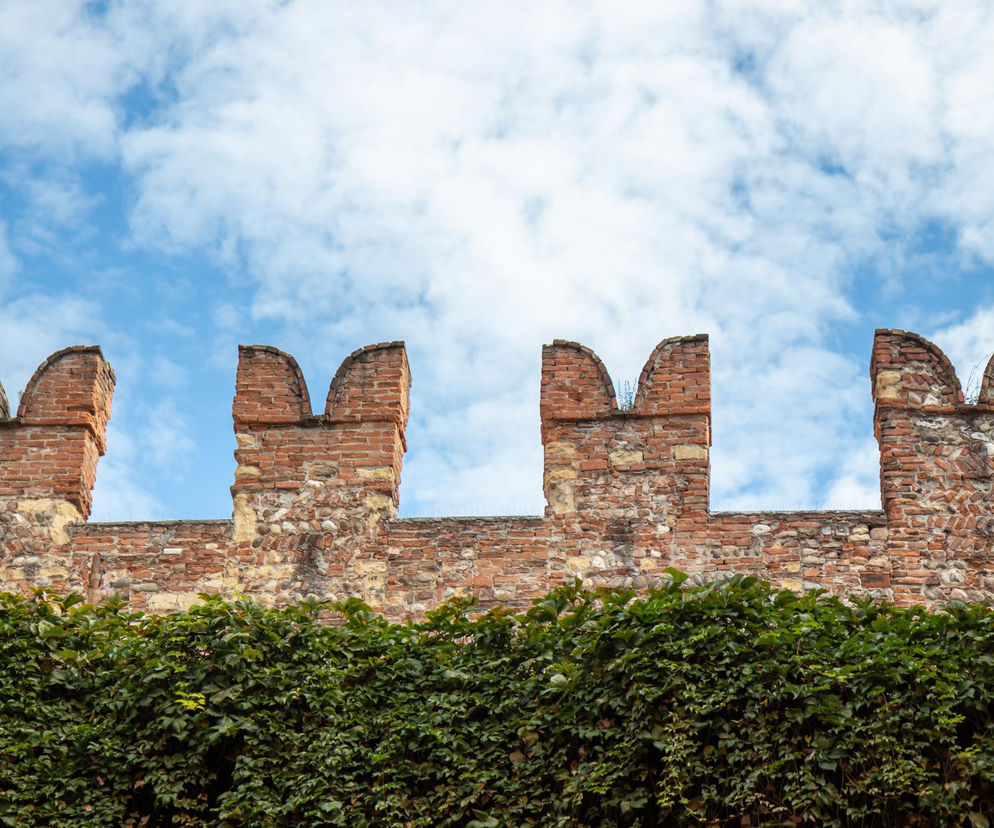 Fragment blankowania murów obronnych z cegły i kamienia, ponad zielonym żywopłotem pnących roślin, na tle błękitnego nieba z białymi chmurami. O budowie zamków w Polsce przeczytasz na Architektura Murator Plus.