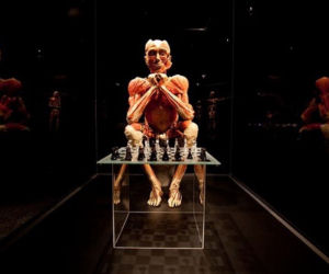 BODY WORLDS – najliczniej odwiedzana wystawa świata powraca do Wrocławia [ZDJĘCIA]