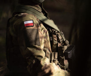 Ryś zamiast Pantery. Wojsko Polskie zmienia kamuflaż po ponad trzech dekadach