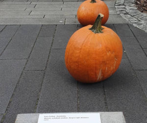 Wyjątkowa instalacja na Akademii Górniczo-Hutniczej w Krakowie