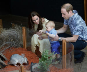 Księżna Kate w ZOO
