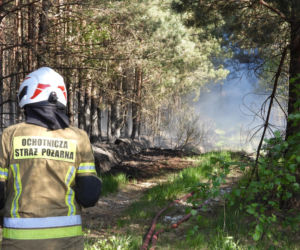 Strażacy walczą z potężnym pożarem na Mazowszu