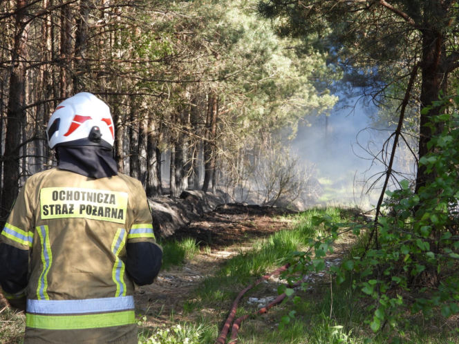 Strażacy walczą z potężnym pożarem na Mazowszu