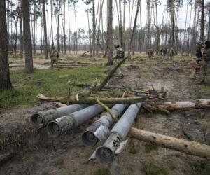 Ukraina. Berezówka