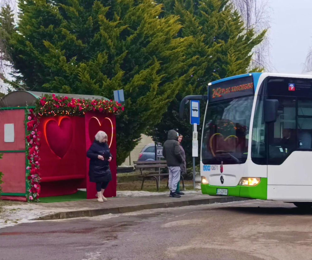 To najbardziej romantyczny przystanek autobusowy w Polsce! Zachwyca nie tylko zakochanych