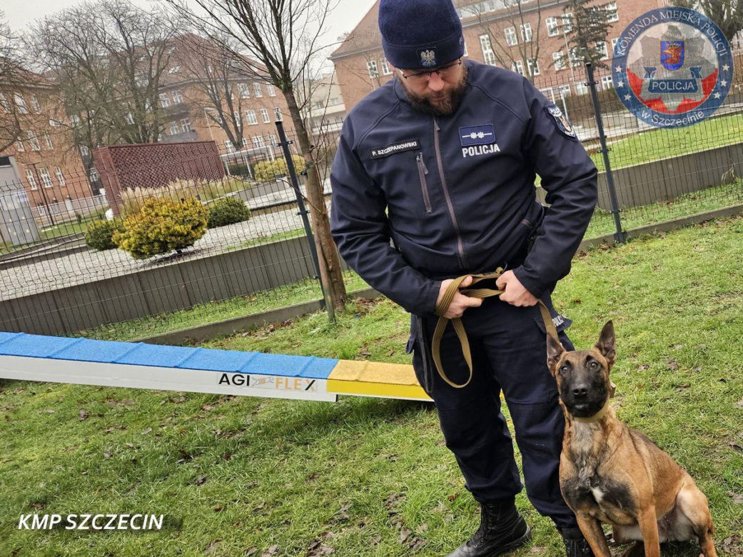 Nowe psy w zachodniopomorskiej policji