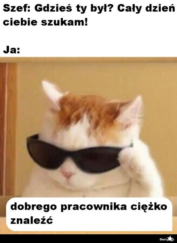 Memy o pracy