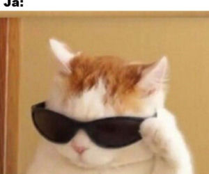 Memy o pracy