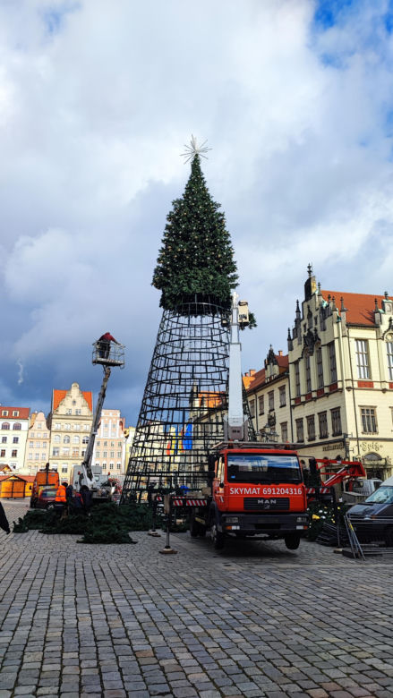Na rynku we Wrocławiu stawiają 24-metrową choinkę. Będzie inna od poprzedniej 
