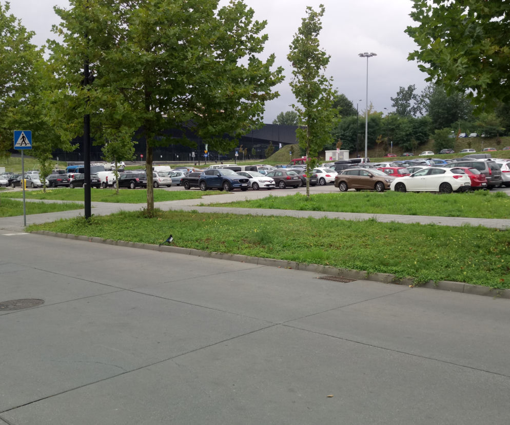 Parking w Strefie Kultury