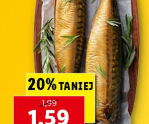 Wielkie promocje w Lidlu