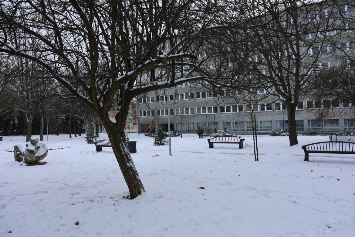 Świdnik w zimowej odsłonie stroi się na święta