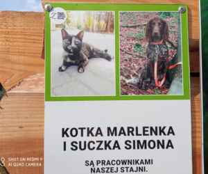 Wiosna wStajni Miejskiej w Żywcu