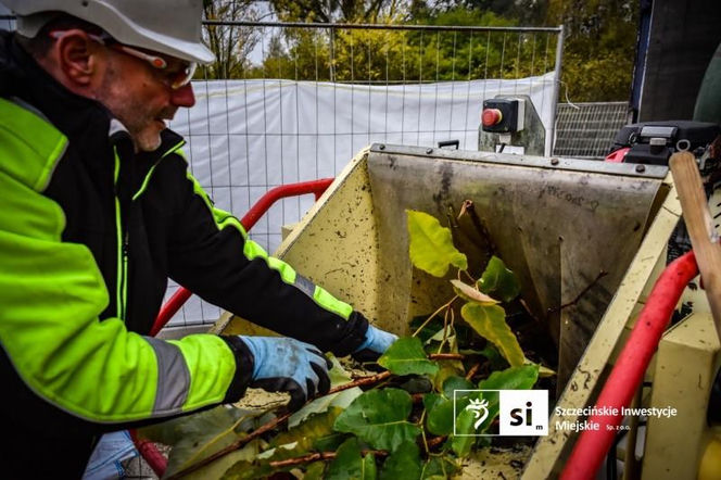 Usuwanie rdestowca na budowie Trasy Północnej