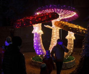Park Iluminacji w zamku Topacz