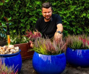 Murator Ogroduje, realizacje