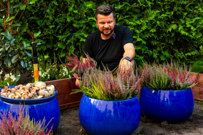 Murator Ogroduje, realizacje