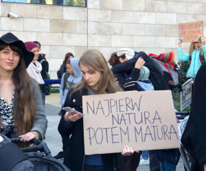 Strajk klimatyczny 