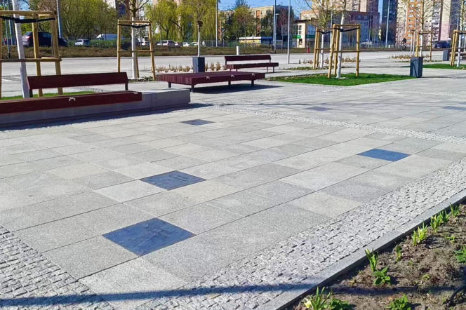 Przed halą Enea Arena powstaje Aleja Szczecińskich Olimpijczyków