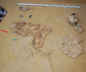 Badania archeologiczne na budowie