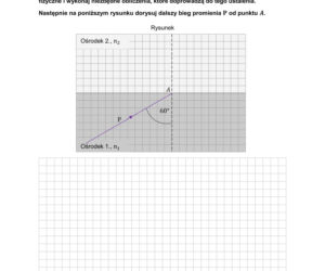 Matura próbna CKE 2026 - fizyka