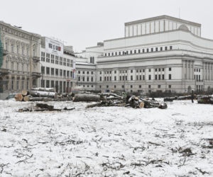 Rzeź drzew w parku w centrum Warszawy. Przygnębiający widok przed odbudową Pałacu Saskiego