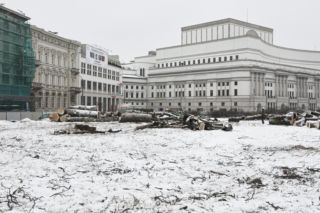 Rzeź drzew w parku w centrum Warszawy. Przygnębiający widok przed odbudową Pałacu Saskiego