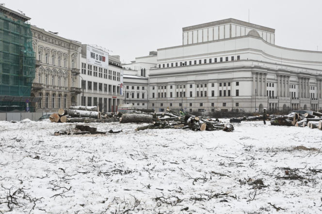 Rzeź drzew w parku w centrum Warszawy. Przygnębiający widok przed odbudową Pałacu Saskiego