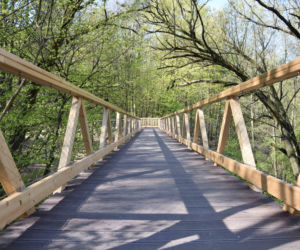 Poznań: Ścieżka w koronach drzew - te zdjęcia robią wrażenie