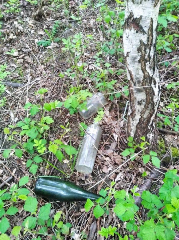 Opony zebrane w Lędzinach zamienią się w drzewa. Podsumowanie ogólnopolskiej kampanii Kręci Nas Recykling!