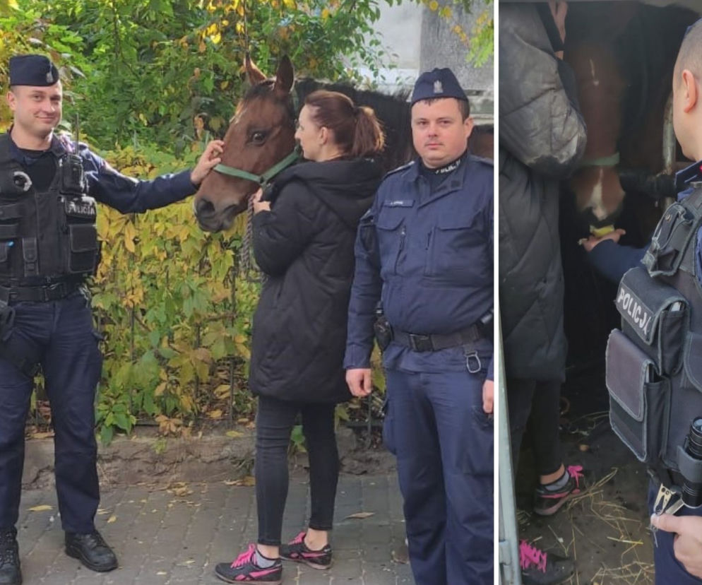 Wakara galopowała przez centrum Lublina! Ludzie byli w szoku