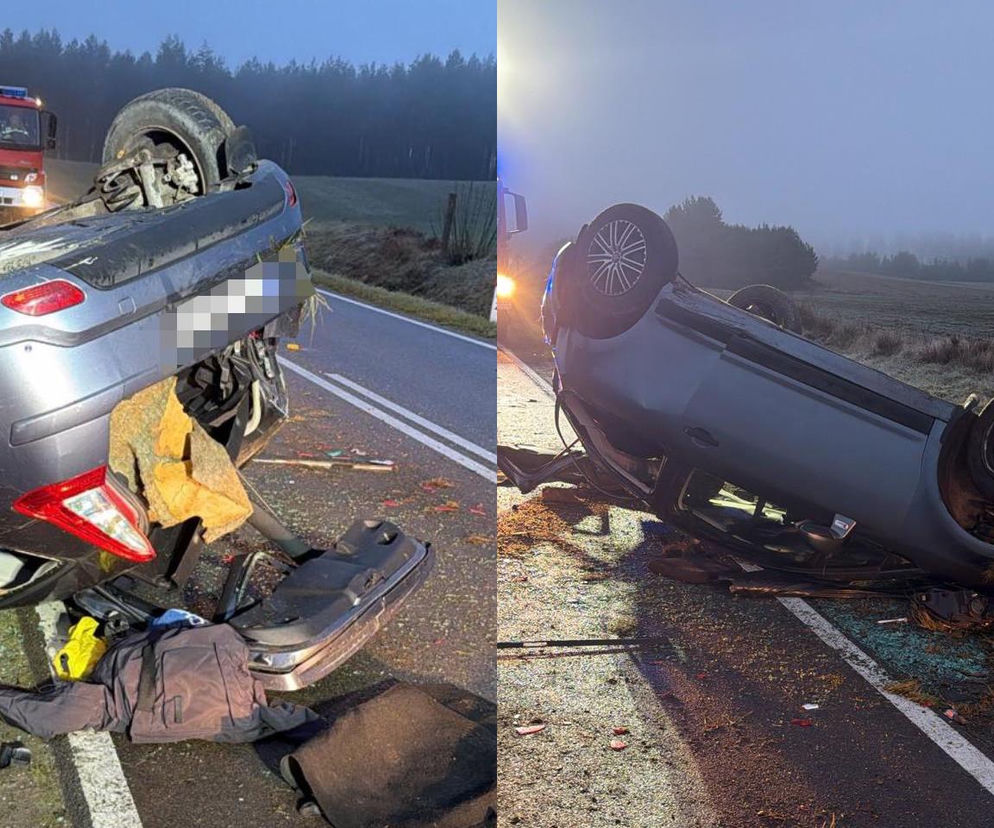 Dachowanie Kolumbijczyka pod Bytowem