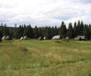 To jedna z najpiękniejszych wsi na Podhalu. Według legendy jej pierwszym sołtysem był słynny zbójnik