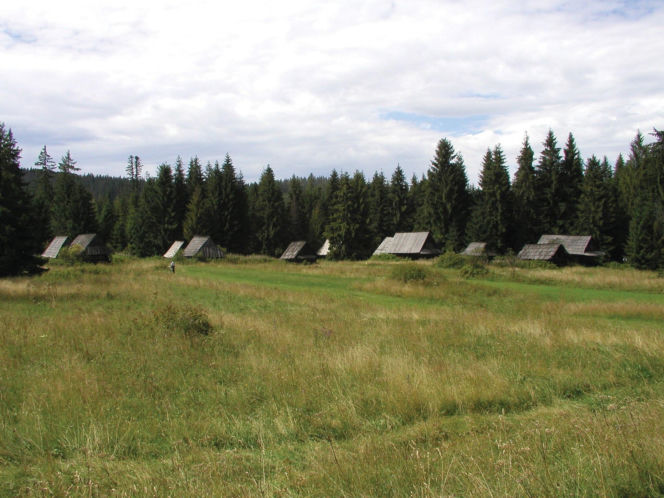 To jedna z najpiękniejszych wsi na Podhalu. Według legendy jej pierwszym sołtysem był słynny zbójnik