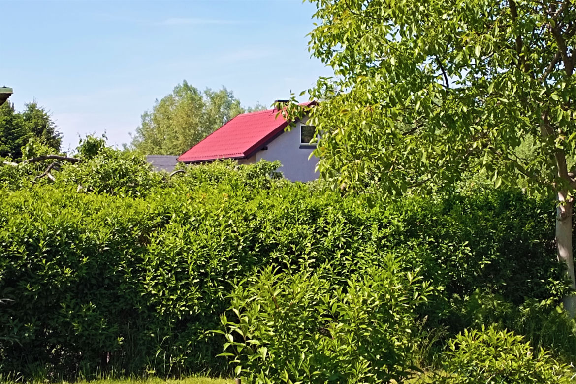 Ceny działek ROD w Szczecinie