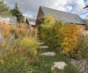 Remont domu z lat 30. i wiejski ogród