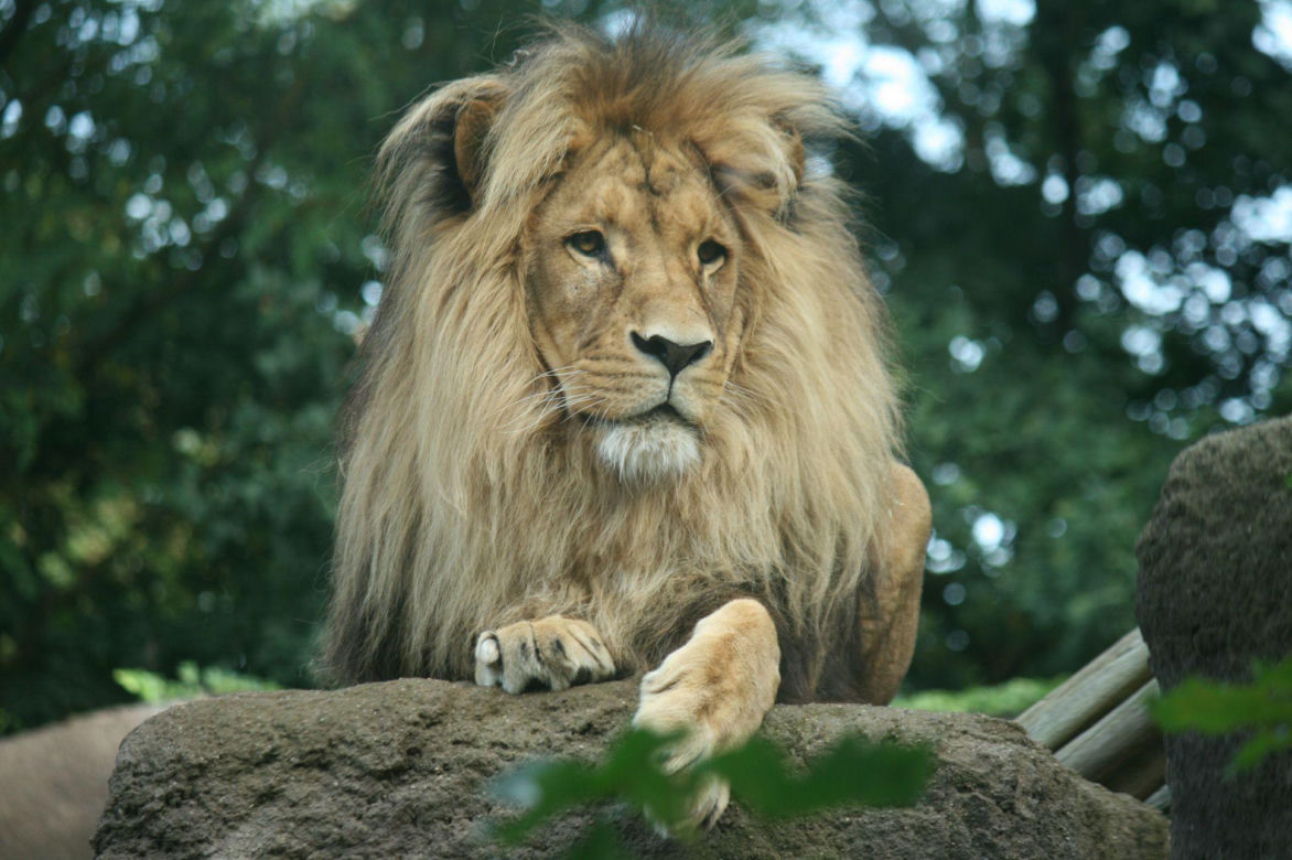 Zoo w Ueckermuende