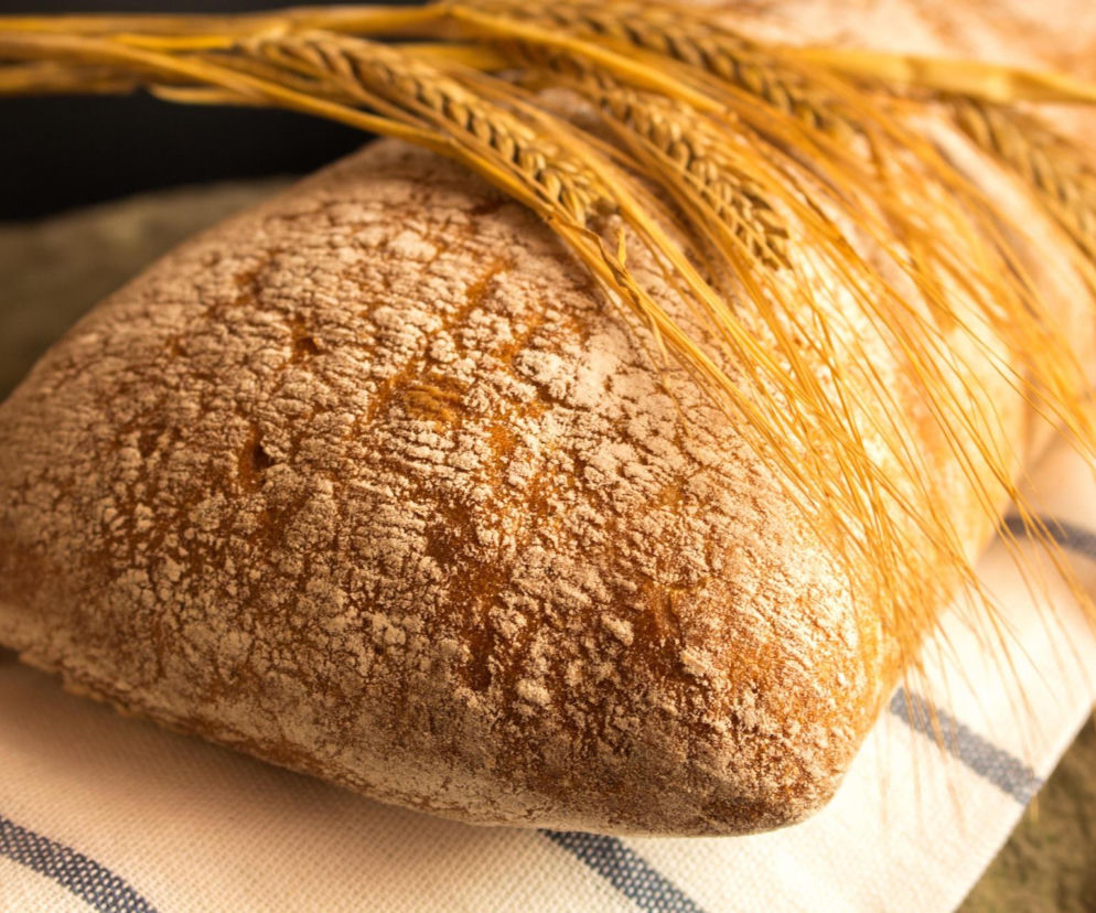 Przed nami pierwsze dożynki miejsko-powiatowe w Kaliszu