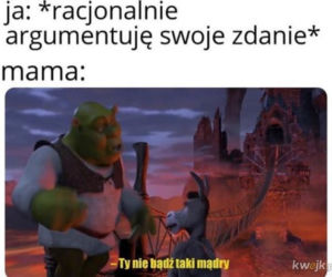 Memy z mamą w roli głównej 